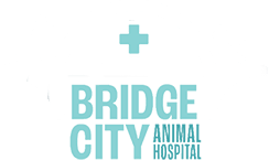 Bridge City Animal Hospital