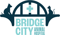 Bridge City Animal Hospital Logo